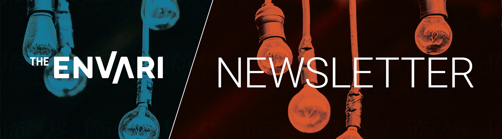 Envari Newsletter Banner